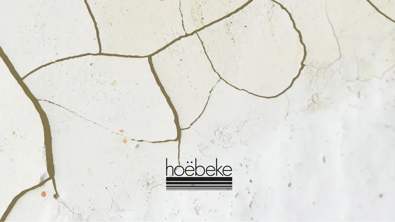 Les éditions Hoëbeke Les éditions Hoëbeke